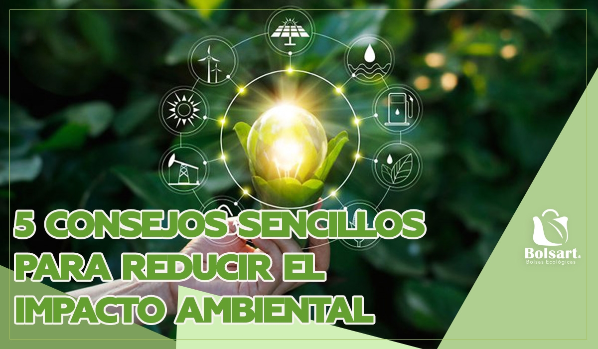 5 CONSEJOS SENCILLOS PARA REDUCIR EL IMPACTO AMBIENTAL