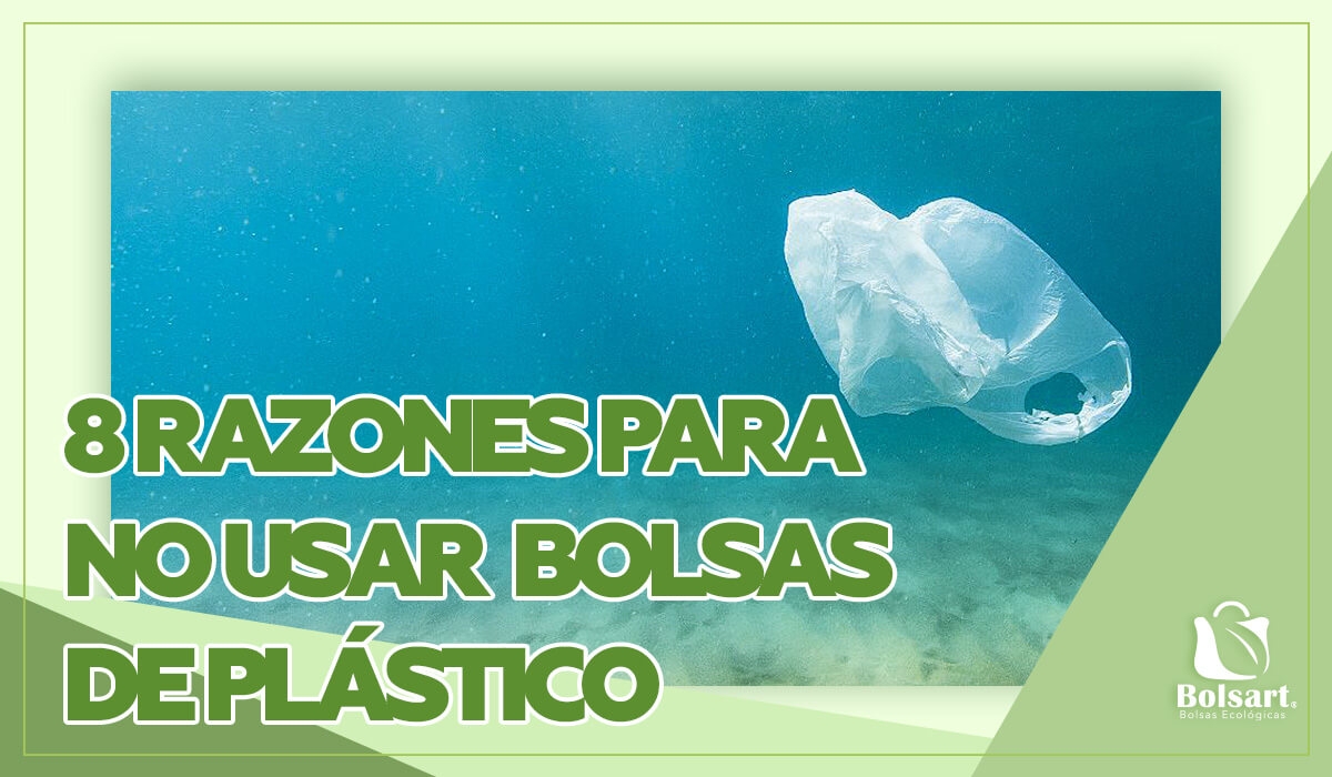 8 razones para no usar bolsas de plástico