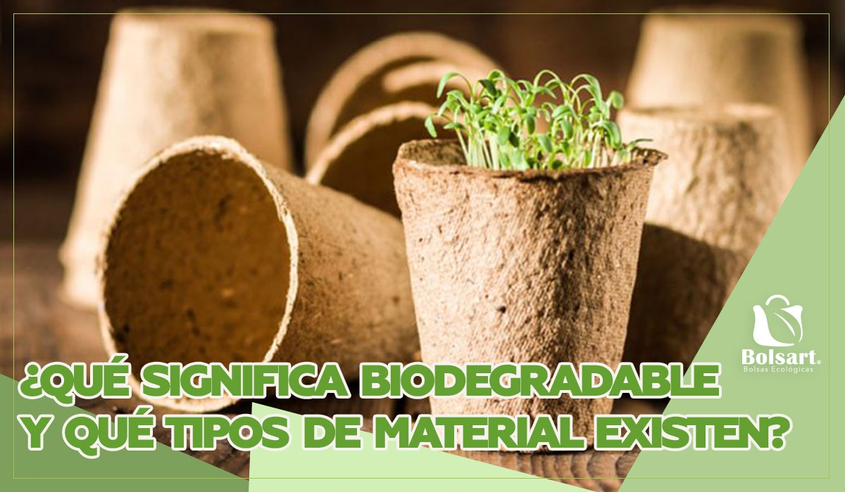 ¿QUÉ SIGNIFICA BIODEGRADABLE Y QUÉ TIPOS DE MATERIALES EXISTEN?