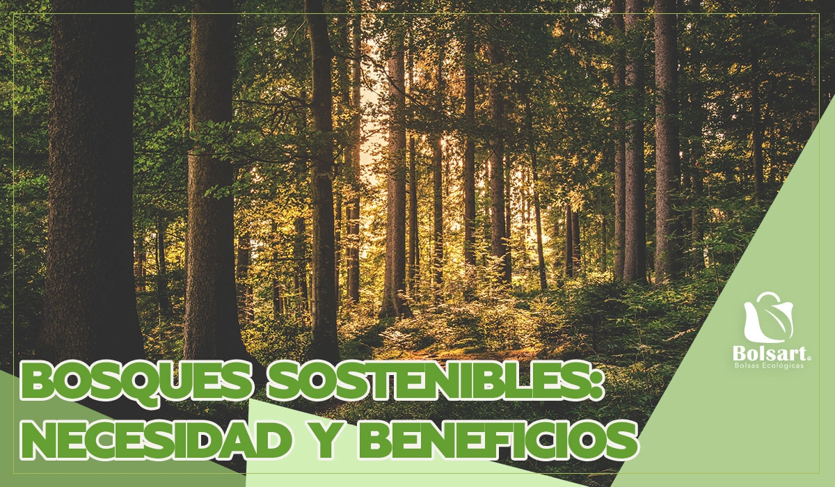 BOSQUES SOSTENIBLES: NECESIDAD Y BENEFICIOS