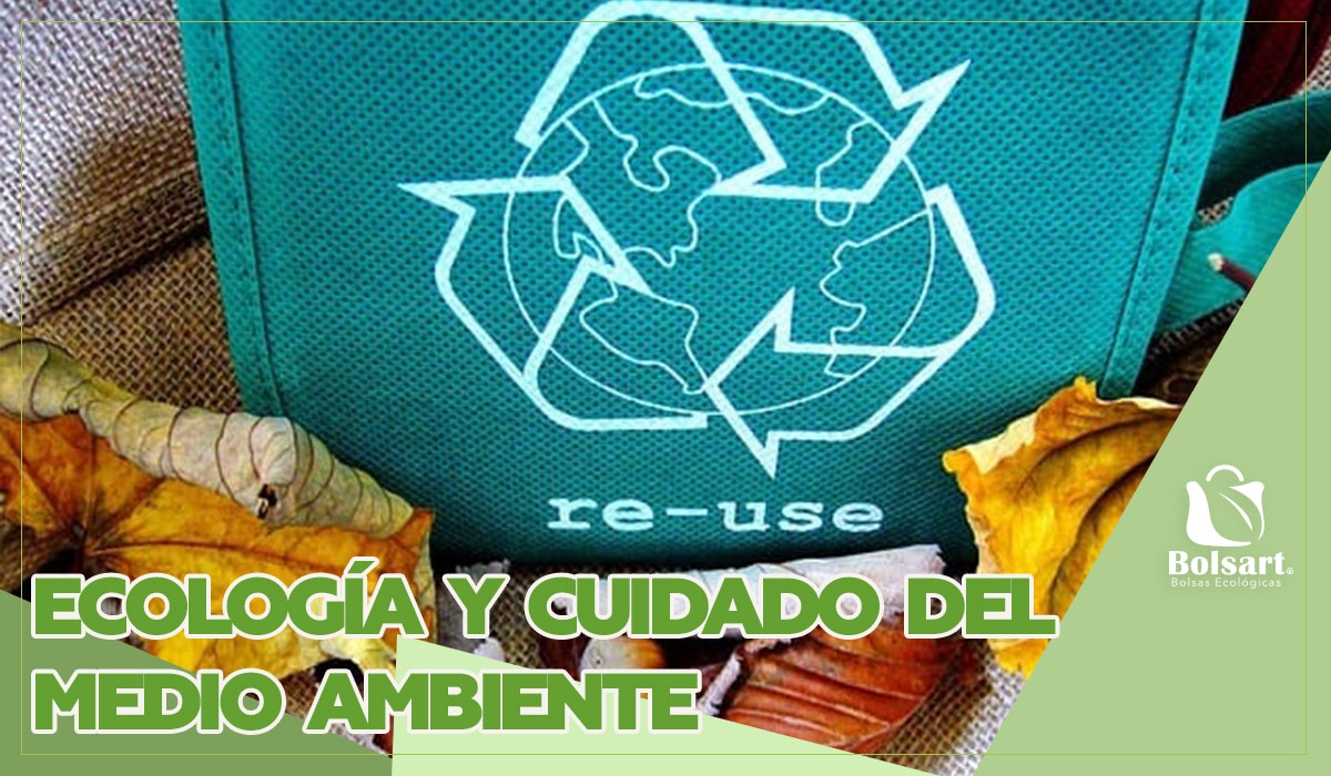 ECOLOGÍA Y CUIDADO DEL MEDIO AMBIENTE