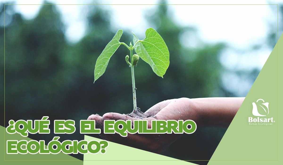 ¿QUÉ ES EL EQUILIBRIO ECOLÓGICO?