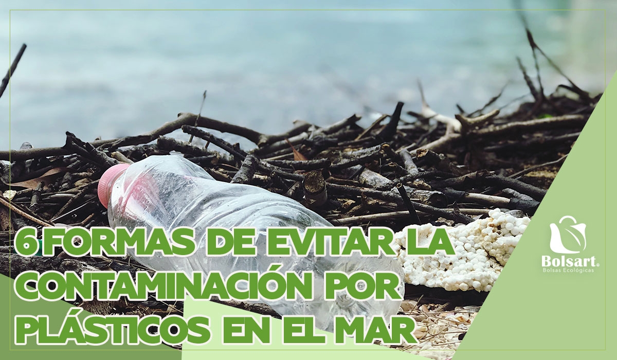 6 FORMAS DE EVITAR LA CONTAMINACIÓN POR PLÁSTICOS EN EL MAR