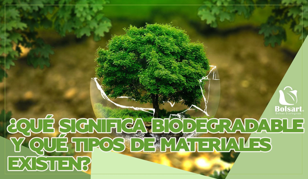 ¿Qué significa biodegradable y qué tipos de materiales existen?