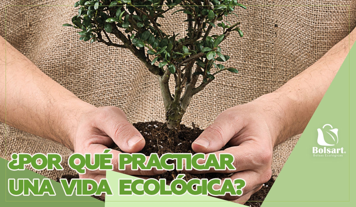 ¿POR QUÉ PRACTICAR UNA VIDA ECOLÓGICA?